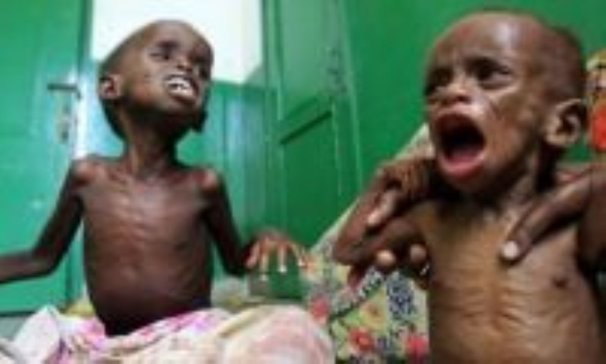 خبر-نزدیک به 4 میلیون سومالیایی در قحطی و بی غذایی مطلق
                        