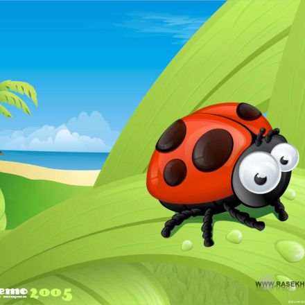 مجله تصویر شماره 11